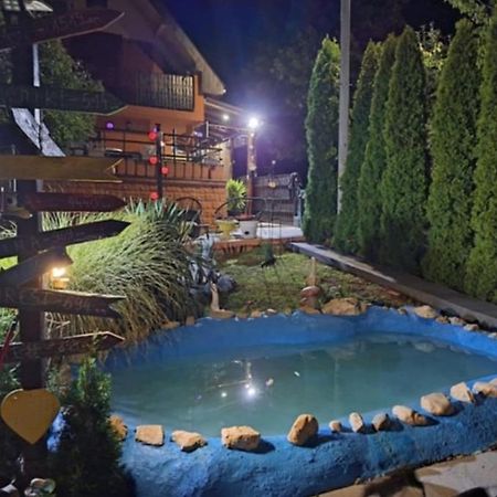 Sweet Dreams Apartment Zajecar Exterior photo