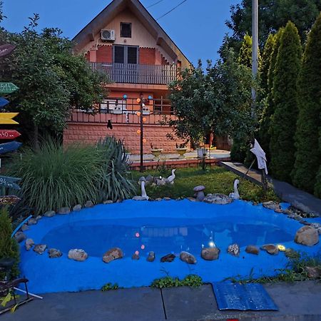 Sweet Dreams Apartment Zajecar Exterior photo