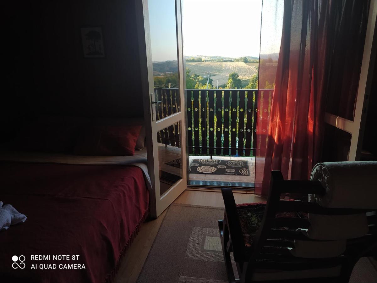 Sweet Dreams Apartment Zajecar Exterior photo